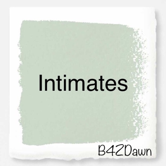 Bras, Panties, etc. - Picture 1 of 1